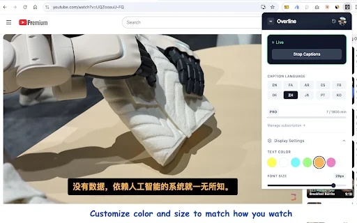 Overline: Subtitle & Terjemahan AI Real-Time di Browser Anda - Screenshot 3