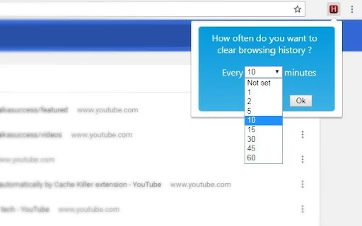 Download Chrome History Cleaner Terbaru – Hapus Riwayat Otomatis - Screenshot 2