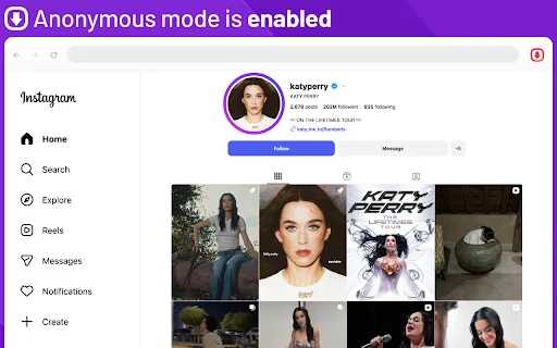 Instagram Stories Viewer & Downloader – Lihat Story Anonim - Screenshot 3