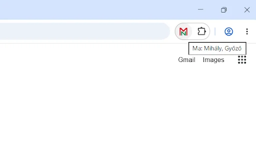 Download Magyar Névnapok Chrome – Cek Nama Hari Jadi Hungaria - Screenshot 3