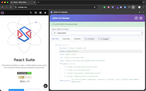 JSON-LD Checker: Validasi Data Terstruktur SEO Terbaik - Screenshot 1