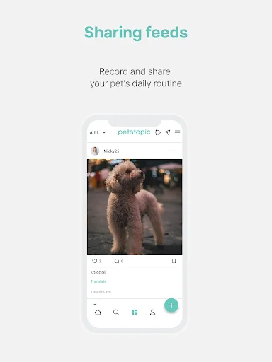 Download Petstapic Terbaru – Ruang Komunitas Hewan Peliharaan - Screenshot 15