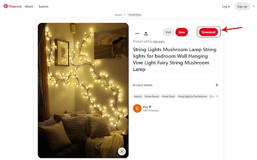 Download Pinterest Video Downloader PinSnap Terbaru – Gratis HD - Screenshot 1
