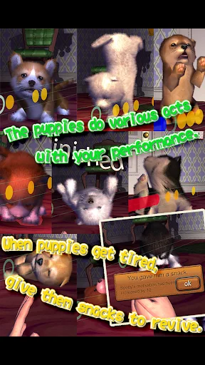 Download Animal Dance Puppies Terbaru – Game Irama Anjing Lucu - Screenshot 11