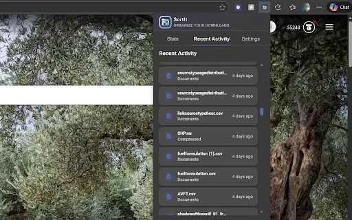 SortIt: Atur File Download Otomatis – Rapikan Folder Anda - Screenshot 3